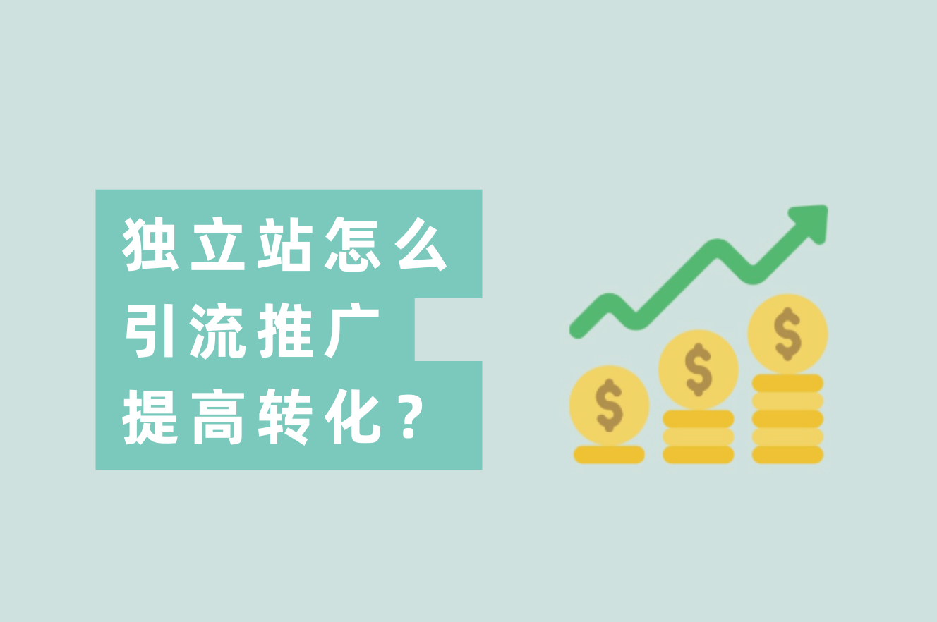 自力站卖家怎么推广引流？自力站怎样举行站内优化提升转化率？