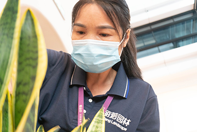 IM体育·(中国区)官方网站 -APP下载