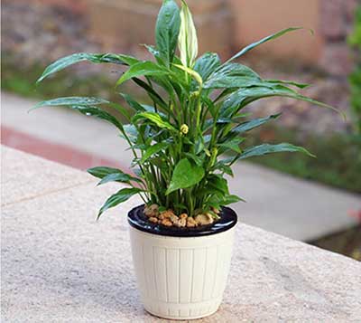 IM体育·(中国区)官方网站 -APP下载