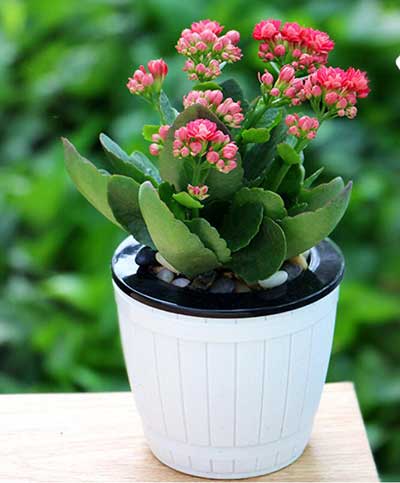 IM体育·(中国区)官方网站 -APP下载