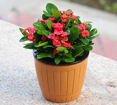 IM体育·(中国区)官方网站 -APP下载