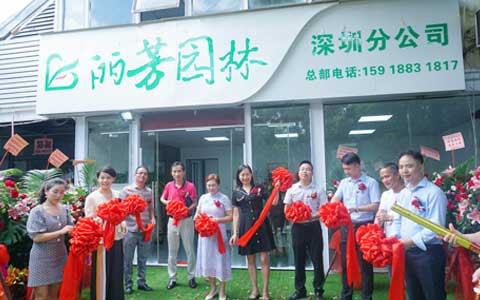 IM体育·(中国区)官方网站 -APP下载