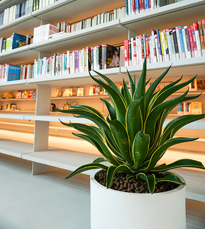 IM体育·(中国区)官方网站 -APP下载