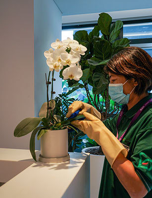 IM体育·(中国区)官方网站 -APP下载