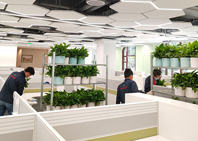 IM体育·(中国区)官方网站 -APP下载