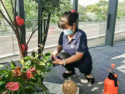 IM体育·(中国区)官方网站 -APP下载