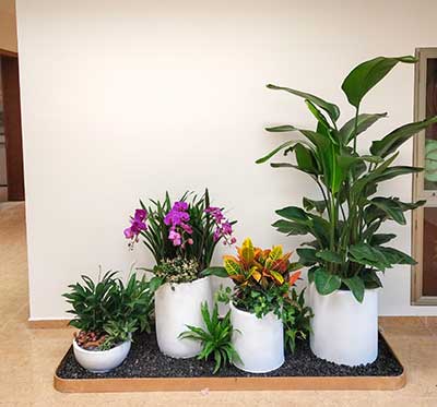 IM体育·(中国区)官方网站 -APP下载