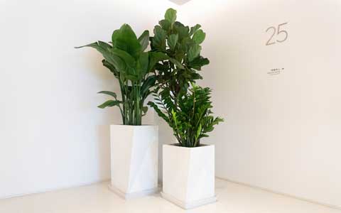 IM体育·(中国区)官方网站 -APP下载