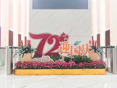 IM体育·(中国区)官方网站 -APP下载