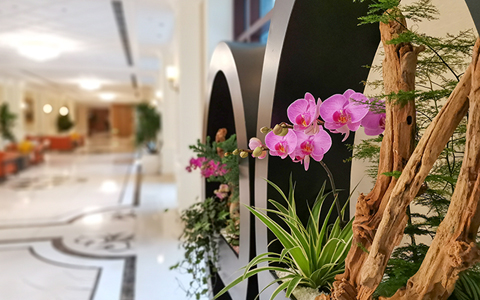 IM体育·(中国区)官方网站 -APP下载