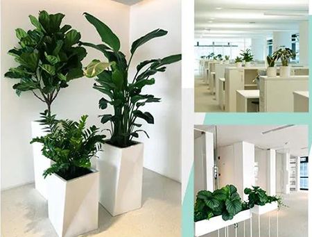 IM体育·(中国区)官方网站 -APP下载