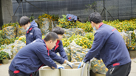 IM体育·(中国区)官方网站 -APP下载