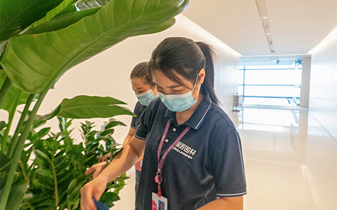 IM体育·(中国区)官方网站 -APP下载