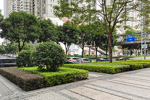 IM体育·(中国区)官方网站 -APP下载