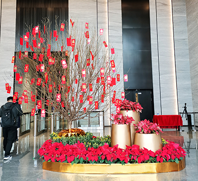 IM体育·(中国区)官方网站 -APP下载