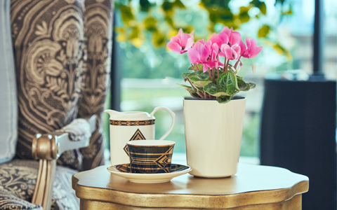 IM体育·(中国区)官方网站 -APP下载