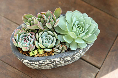 IM体育·(中国区)官方网站 -APP下载