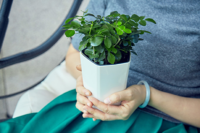 IM体育·(中国区)官方网站 -APP下载