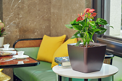 IM体育·(中国区)官方网站 -APP下载