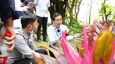 IM体育·(中国区)官方网站 -APP下载