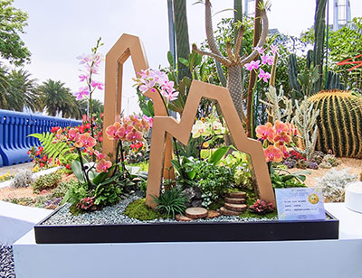 IM体育·(中国区)官方网站 -APP下载