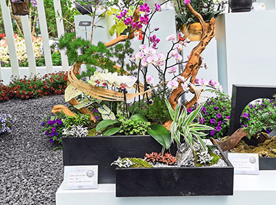 IM体育·(中国区)官方网站 -APP下载