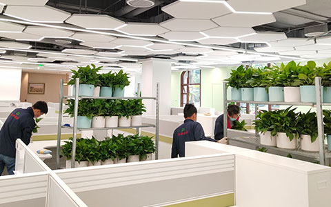 IM体育·(中国区)官方网站 -APP下载