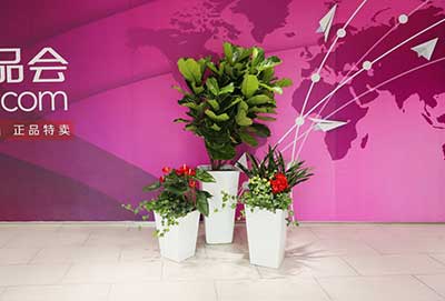 IM体育·(中国区)官方网站 -APP下载