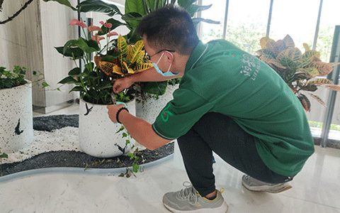 IM体育·(中国区)官方网站 -APP下载