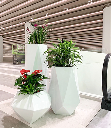 IM体育·(中国区)官方网站 -APP下载