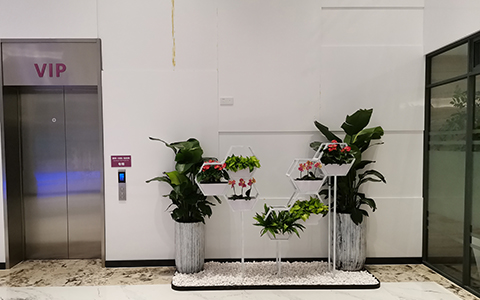 IM体育·(中国区)官方网站 -APP下载