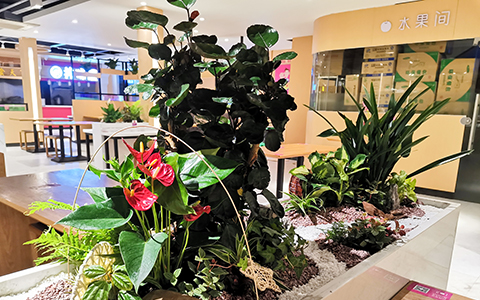 IM体育·(中国区)官方网站 -APP下载