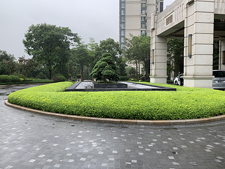 IM体育·(中国区)官方网站 -APP下载