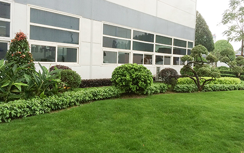 IM体育·(中国区)官方网站 -APP下载