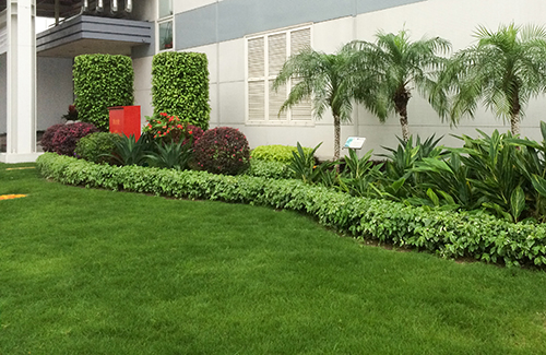 IM体育·(中国区)官方网站 -APP下载