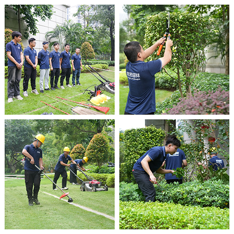 IM体育·(中国区)官方网站 -APP下载