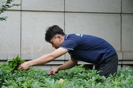 IM体育·(中国区)官方网站 -APP下载