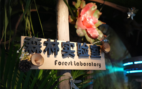 IM体育·(中国区)官方网站 -APP下载