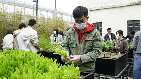 IM体育·(中国区)官方网站 -APP下载