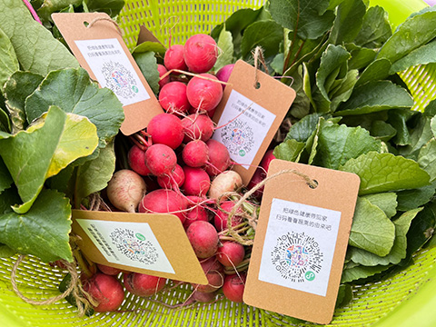 IM体育·(中国区)官方网站 -APP下载