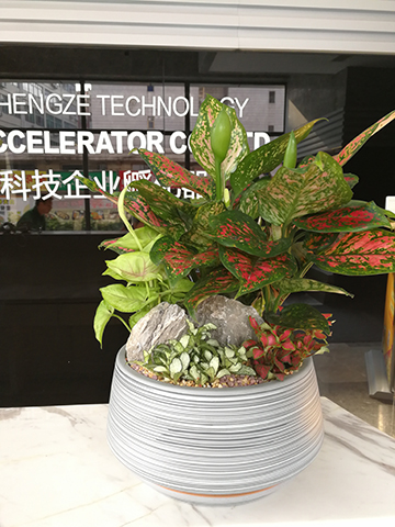 IM体育·(中国区)官方网站 -APP下载