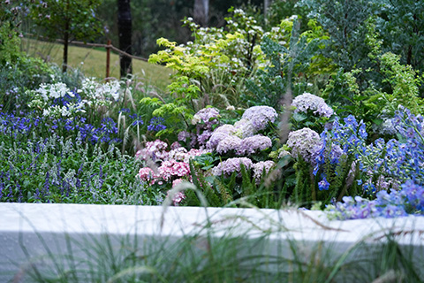 IM体育·(中国区)官方网站 -APP下载