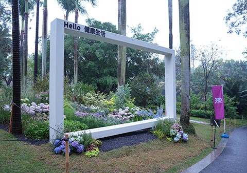 IM体育·(中国区)官方网站 -APP下载