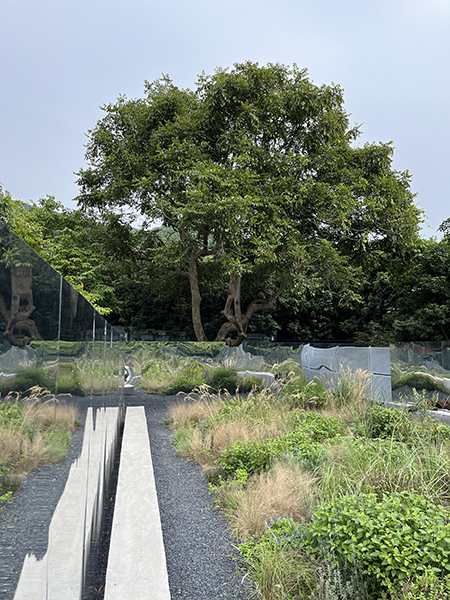 IM体育·(中国区)官方网站 -APP下载