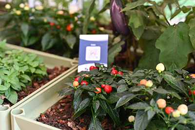 IM������(�й���)�ٷ���վ -APP����