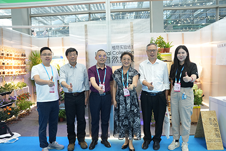 IM体育·(中国区)官方网站 -APP下载