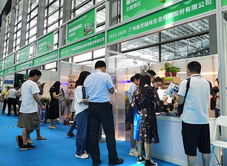 IM体育·(中国区)官方网站 -APP下载