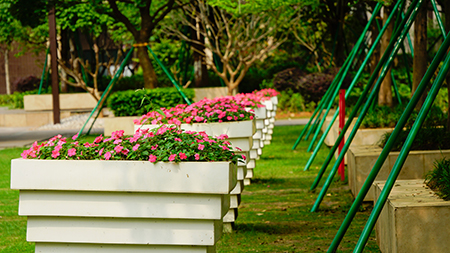 IM体育·(中国区)官方网站 -APP下载