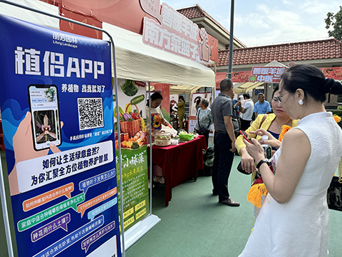 IM体育·(中国区)官方网站 -APP下载