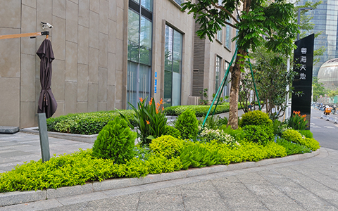 IM体育·(中国区)官方网站 -APP下载